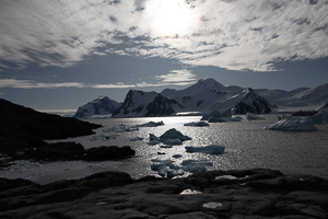 Horseshoe Island