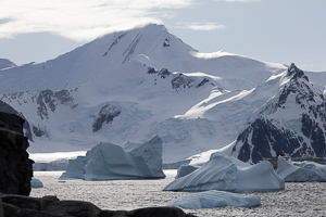 Horseshoe Island