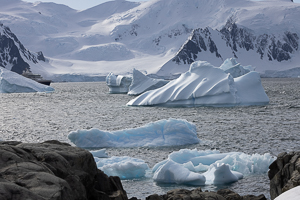 Horseshoe Island