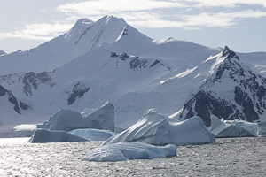 Horseshoe Island