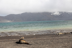 Deception Island