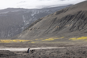 Deception Island