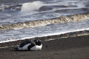 Deception Island