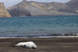 Deception Island