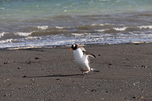 Deception Island