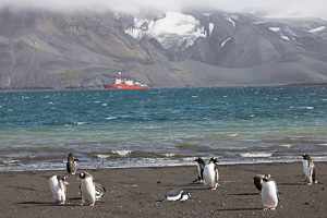 Deception Island