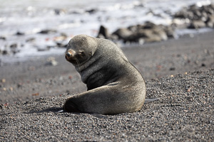 Deception Island