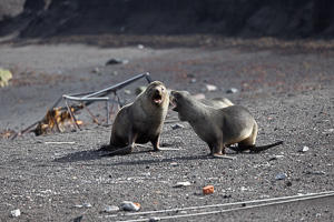 Deception Island