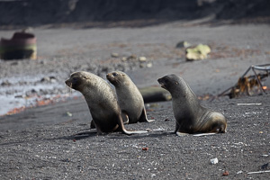 Deception Island