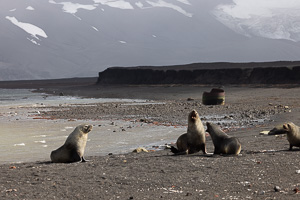 Deception Island