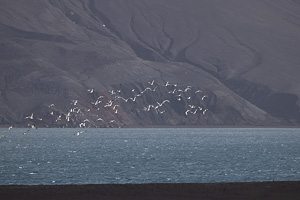 Deception Island