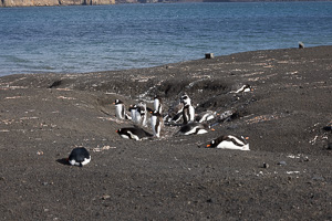 Deception Island