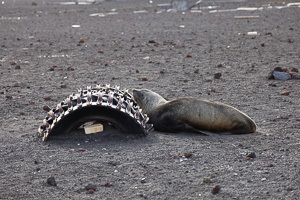 Deception Island