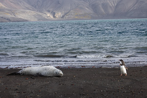 Deception Island