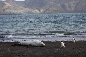 Deception Island