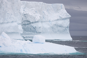 Tafel-Eisberg vor Deception Island