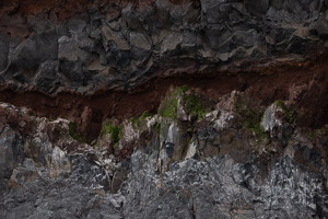 Peter I. Island - Flechten