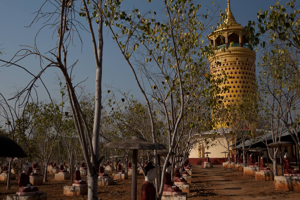 Bodhi Tataung