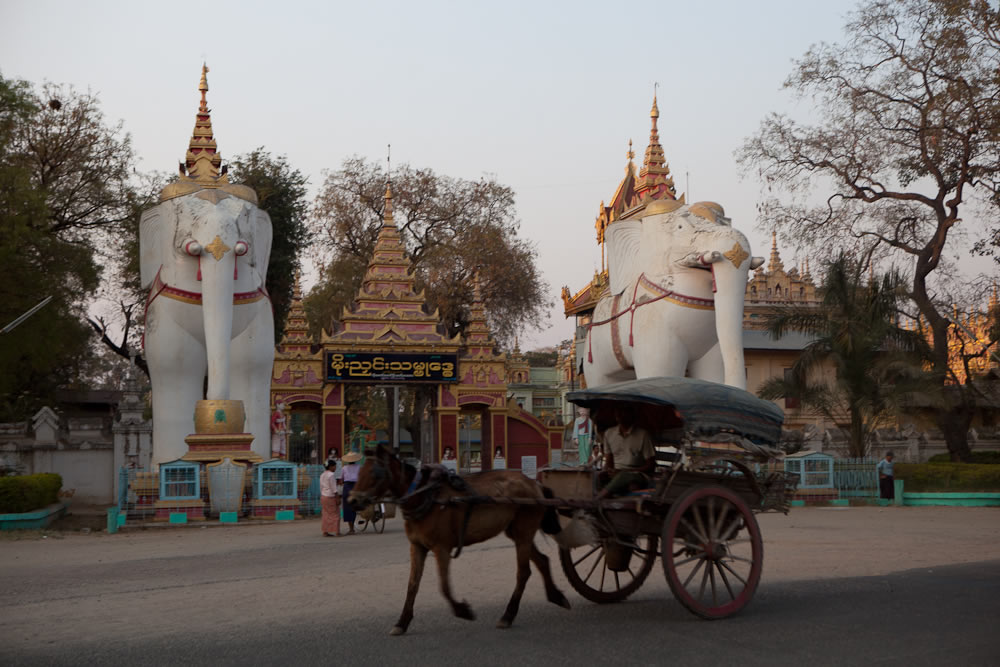 Bodhi Tataung