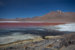 Laguna colorado