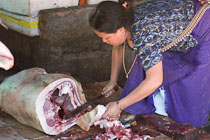 TNarun_IMG_4359 TNarun_IMG_4359
