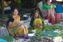 TNarun_IMG_4385 TNarun_IMG_4385