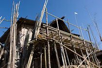 TNarun_IMG_4485