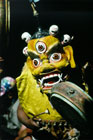 Ladakh_HemisMaske1_tn