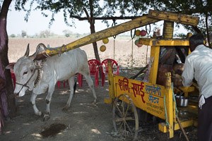 Maharashtra