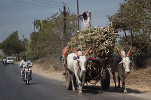 Maharashtra