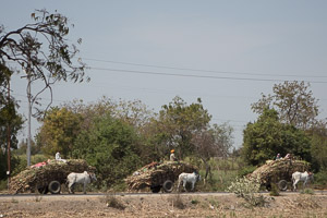 Maharashtra