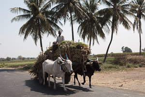 Maharashtra