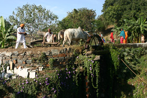 Schpfbrunnen