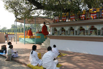Indien2006TN-8842 Indien2006TN-8842