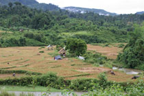 Lao_NamMa_tn