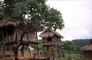 Muang Xing - Akha-Dorf