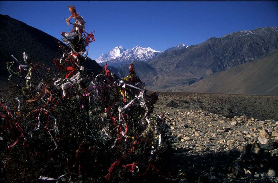 auf dem Weg nach Muktinath