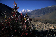 tnNepal2001_09beiMuktinath