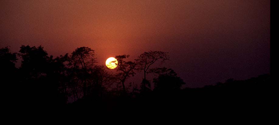 Nepal2001_45Chitwan18