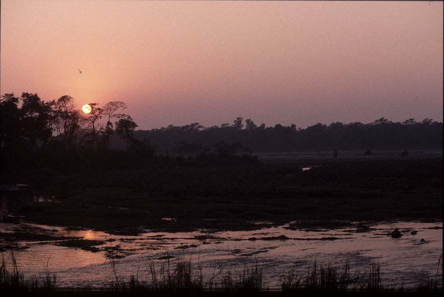 Nepal2001_46Chitwan19