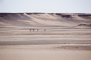 Teghaza