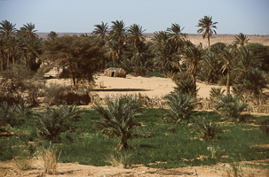 Ouadane