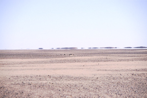 Am Rand des Erg Chech