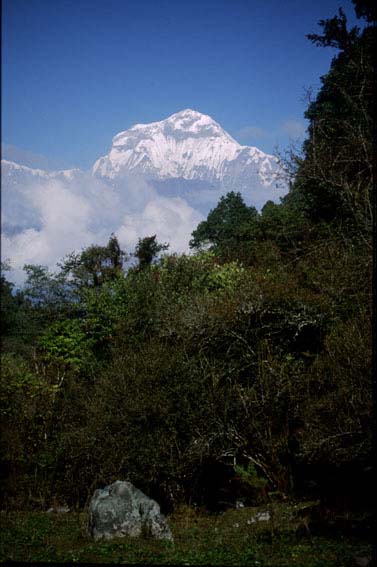 Nepal2001_02Dhaulagiri01
