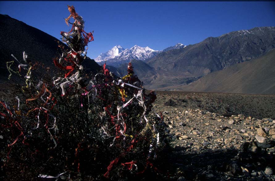 Nepal2001_09beiMuktinath