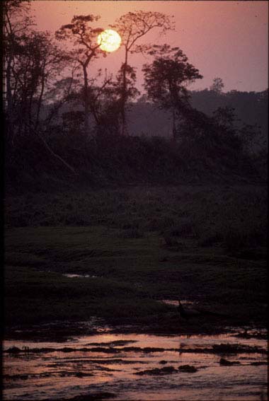 Nepal2001_47Chitwan20