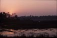 tnNepal2001_46Chitwan19