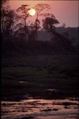 tnNepal2001_47Chitwan20