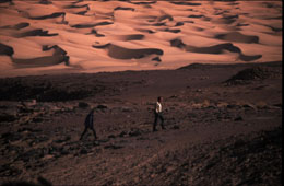 Sahara