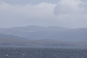 Auckland Island
